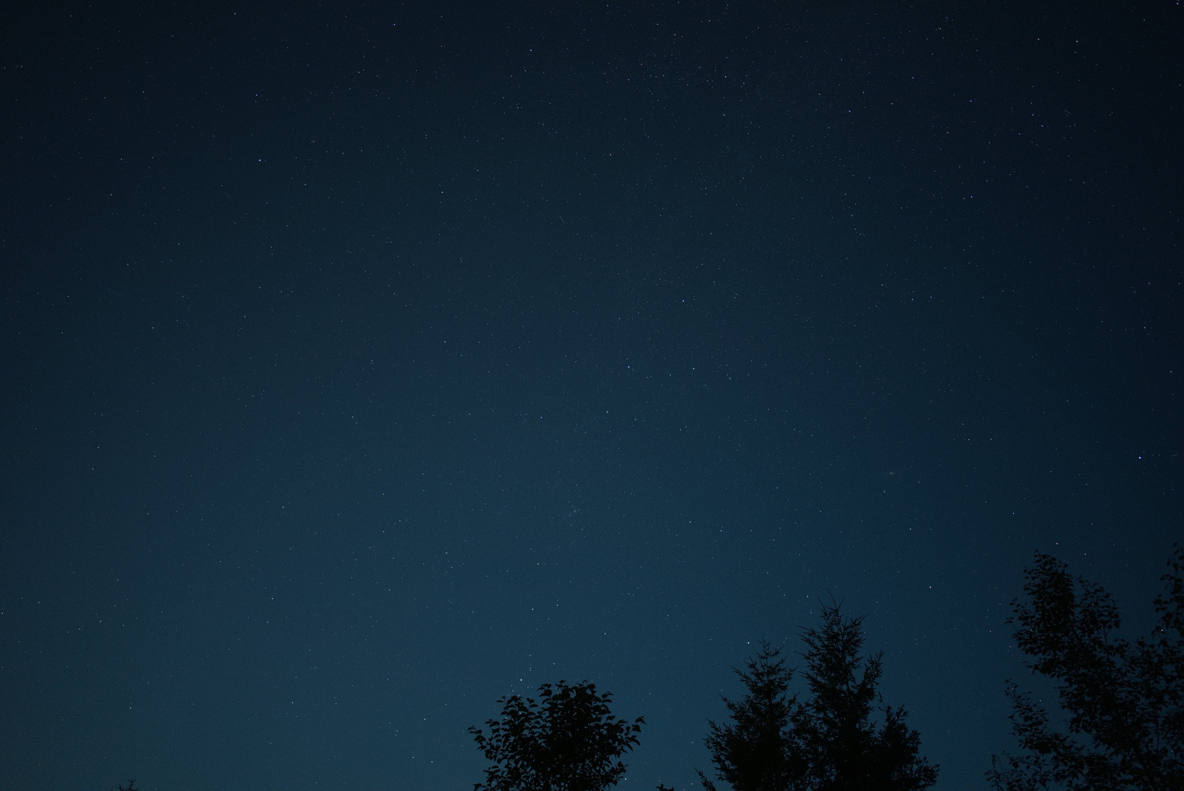 A deep blue night sky full of faint stars above a dark treeline.